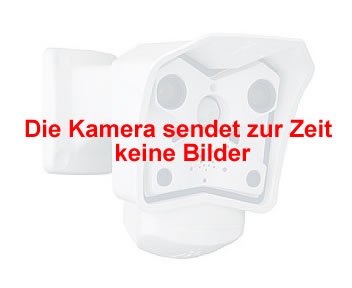 Kamera-Livebild